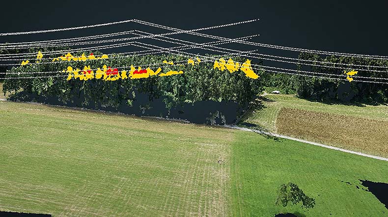 Vegetationsmanagement mit dem Aibot X6